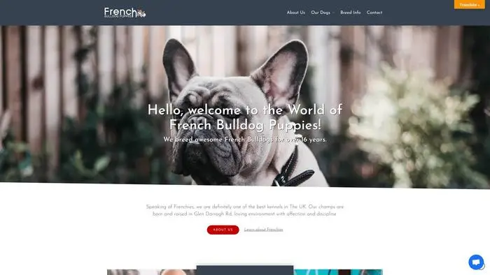 Screenshot of