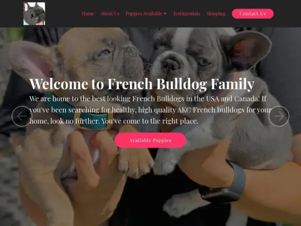 Screenshot of