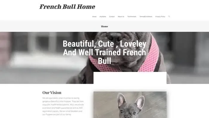 Screenshot of