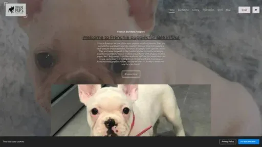 Screenshot of||