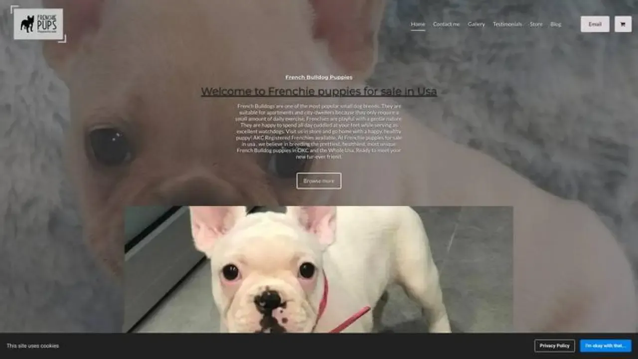 Screenshot of||