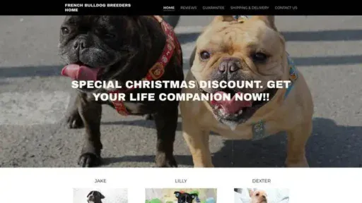 Screenshot of
