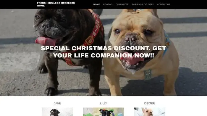 Screenshot of