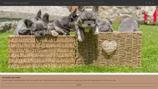 Screenshot of