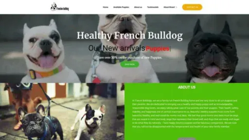Screenshot of||