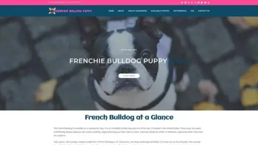 Screenshot of