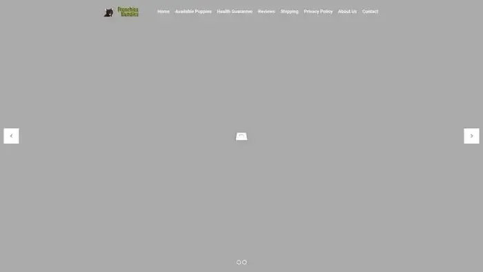 Screenshot of