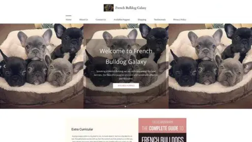 Screenshot of