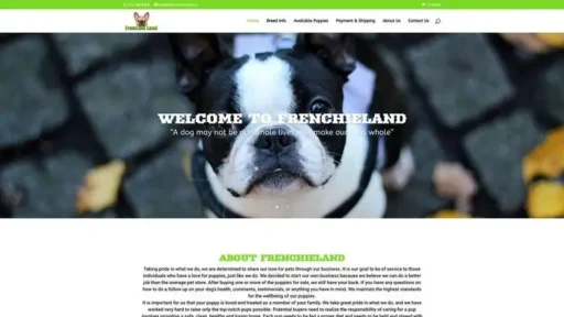 Screenshot of