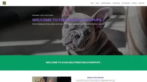 Screenshot of