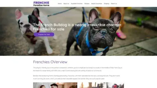 Screenshot of