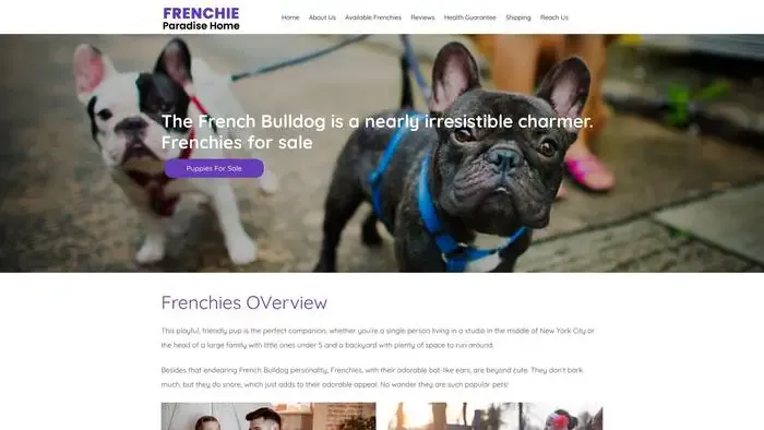 Screenshot of