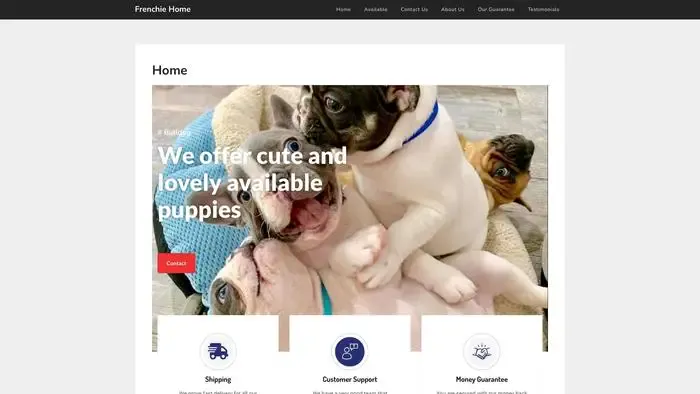 Screenshot of