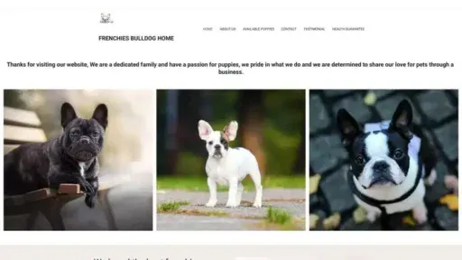 Screenshot of