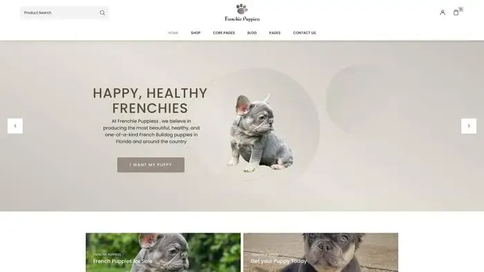 Screenshot of