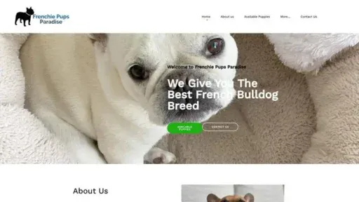 Screenshot of