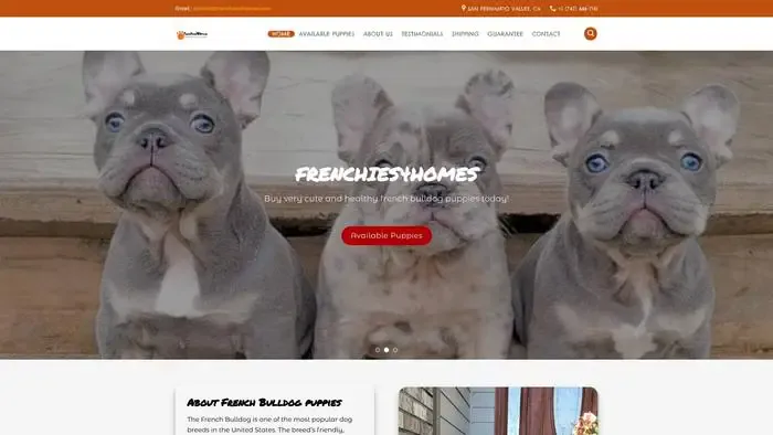 Screenshot of