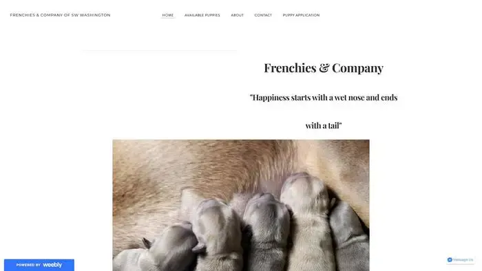 Screenshot of