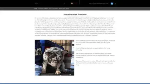 Screenshot of