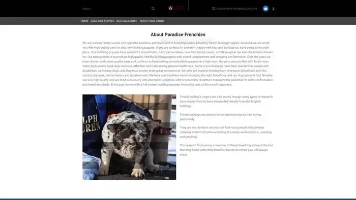 Screenshot of