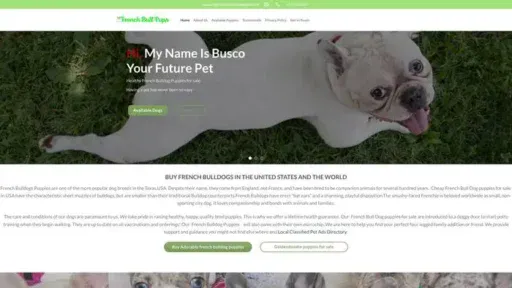 Screenshot of