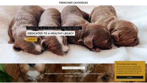 Screenshot of