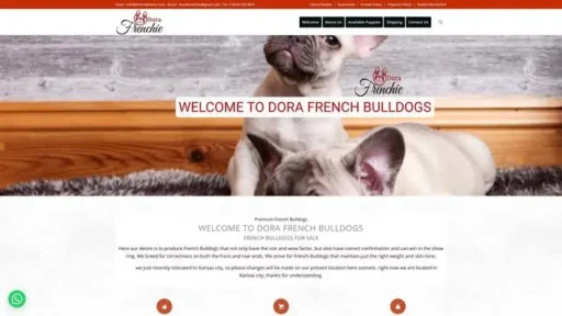 Screenshot of