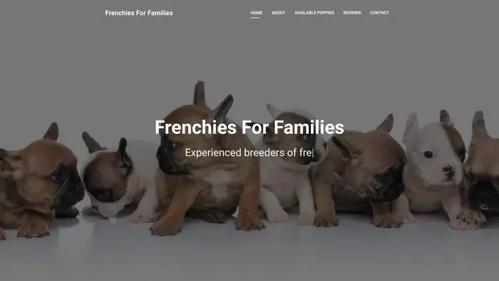 Screenshot of