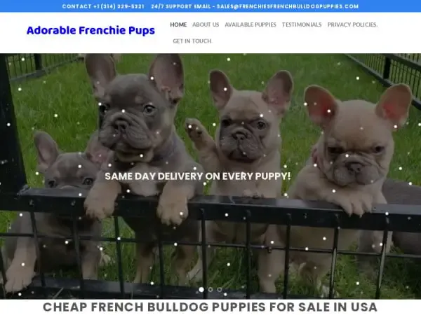 Screenshot of