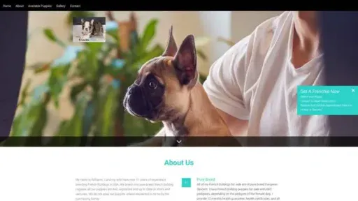 Screenshot of