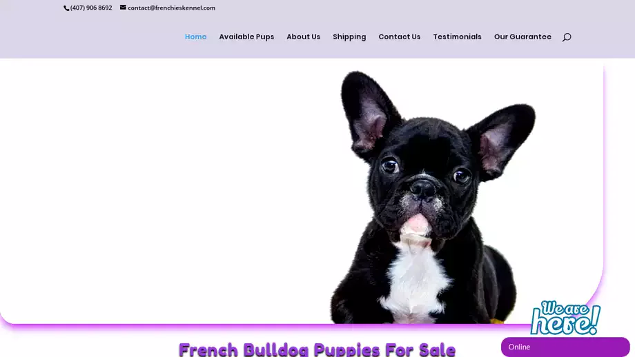 Screenshot of