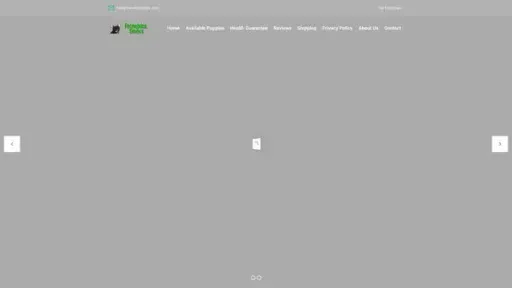 Screenshot of