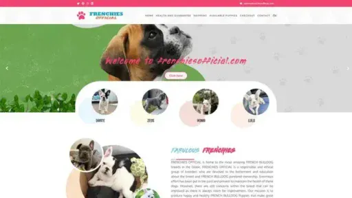 Screenshot of