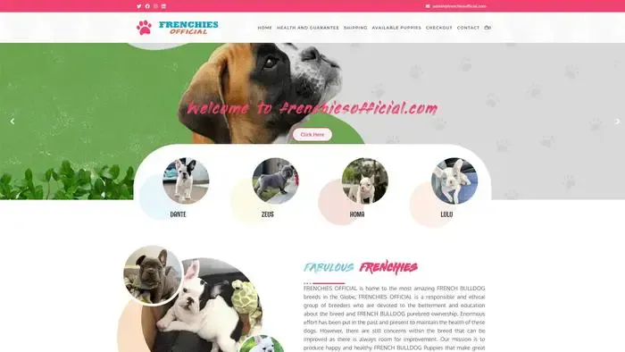 Screenshot of