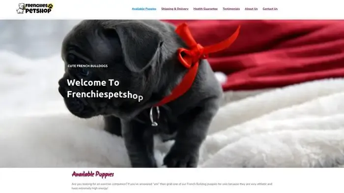 Screenshot of