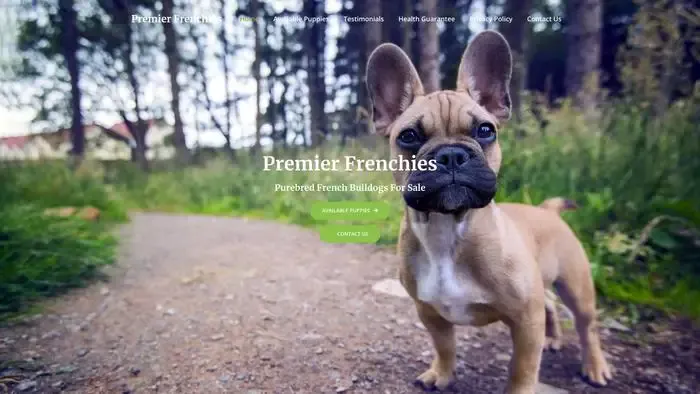 Screenshot of