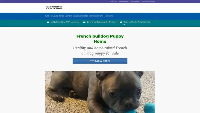 Screenshot of