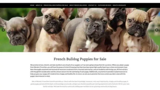 Screenshot of||