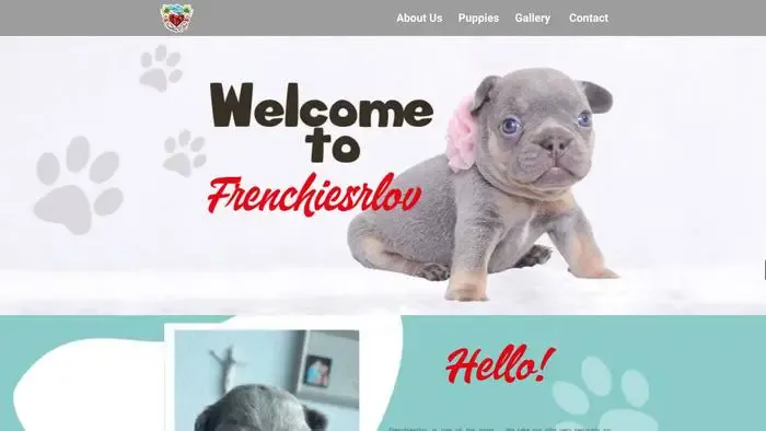 Screenshot of