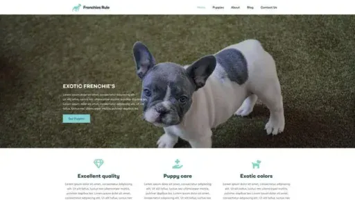 Screenshot of