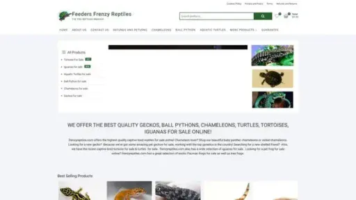 Screenshot of