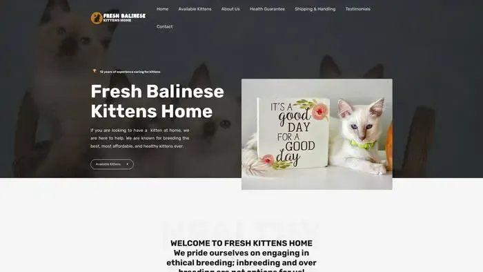 Screenshot of