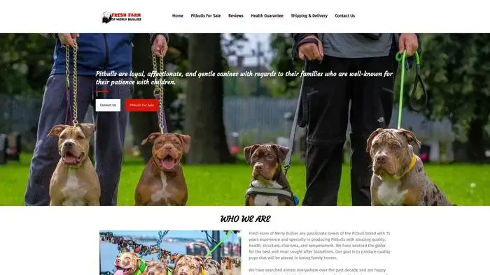 Screenshot of