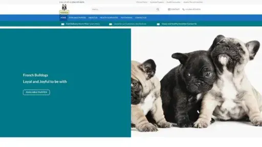 Screenshot of