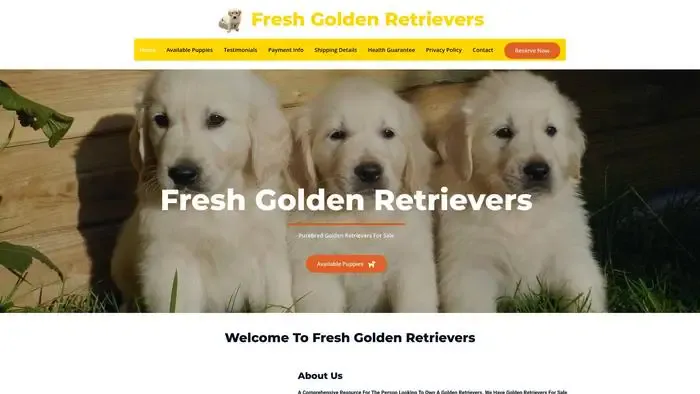 Screenshot of