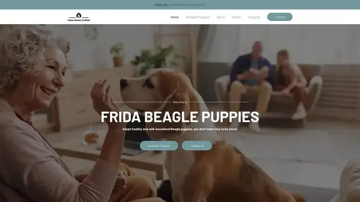 Screenshot of