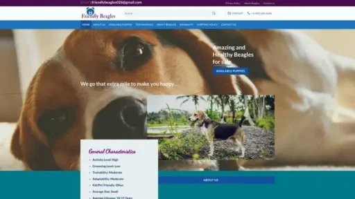 Screenshot of