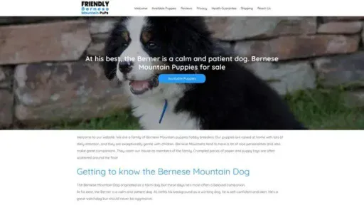 Screenshot of