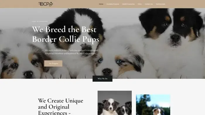 Screenshot of