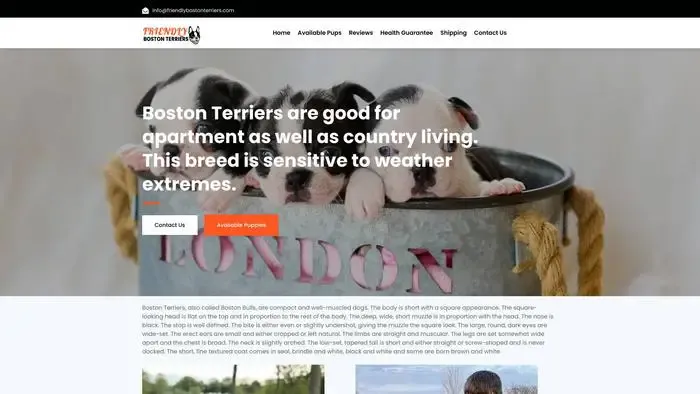 Screenshot of